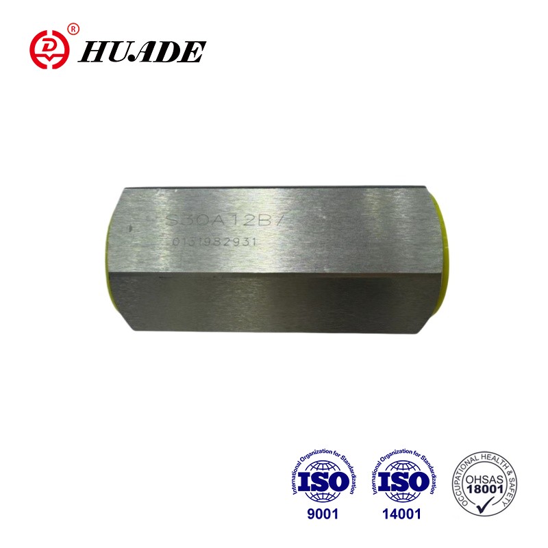 Valvola di ritegno zincata tipo S: una guida pratica per acquirenti e ingegneri