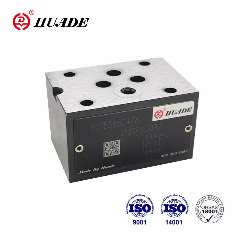 Piastra sandwich con valvola di ritegno Z1S: una guida pratica Piastra sandwich con valvola di ritegno Z1S: una guida pratica